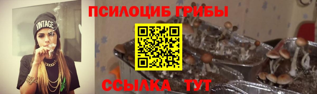 Сургут  Псилоцибиновые грибы Psilocybe  Вход с VPN  Псилоцибиновые грибы MAGIC MUSHROOMS 